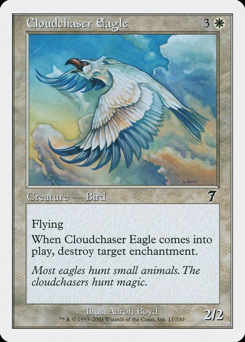 11-cloudchasereagle