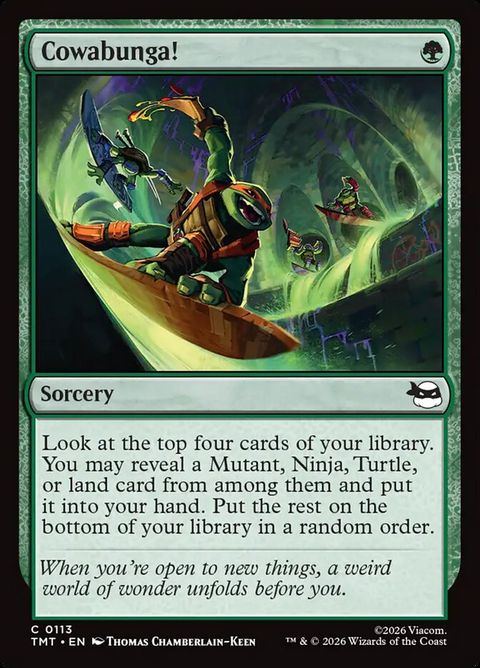 113-cowabunga
