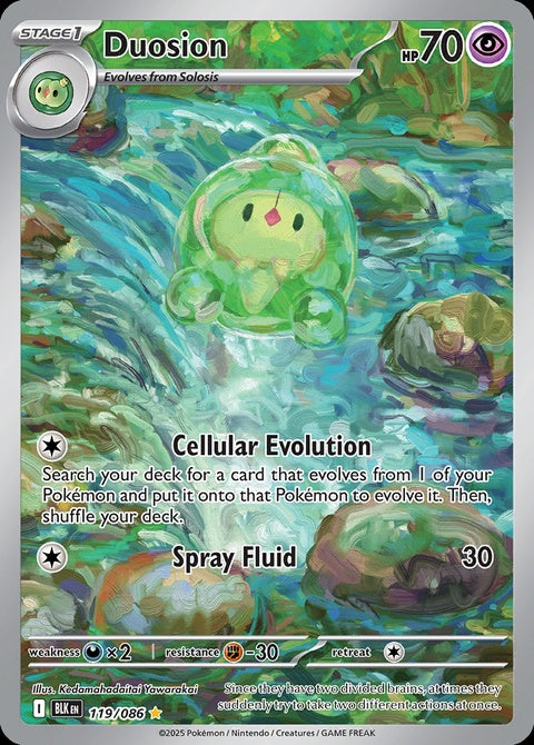 119-duosion