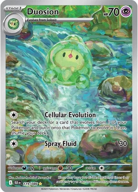 119-duosion