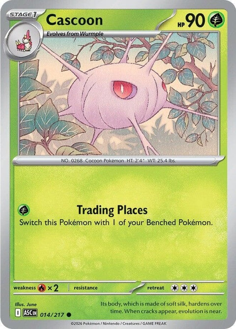 14-cascoon
