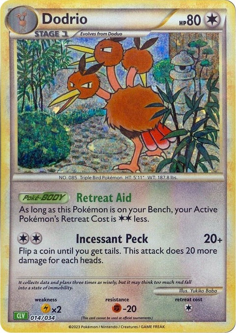 14-dodrio