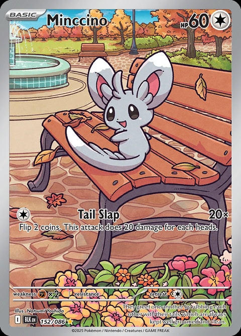 152-minccino