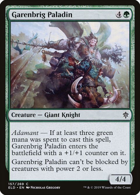 157-garenbrigpaladin