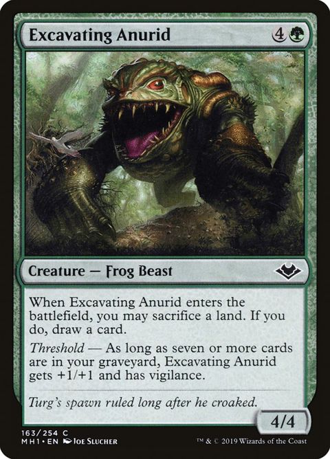 163-excavatinganurid