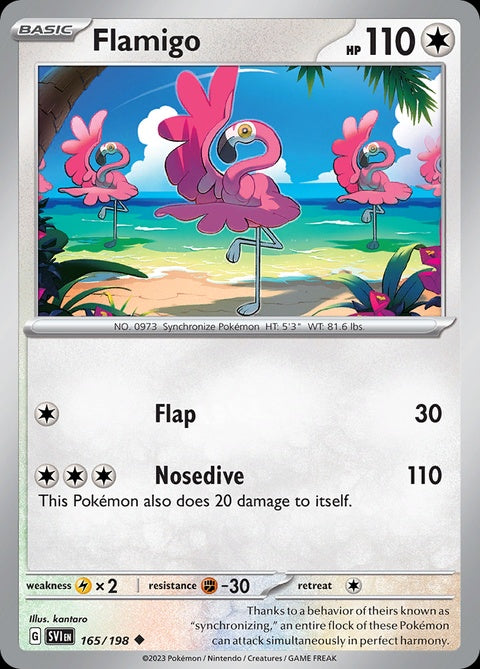 165-flamigo
