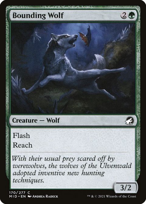 170-boundingwolf