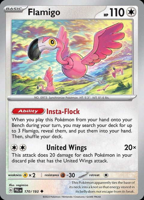 170-flamigo