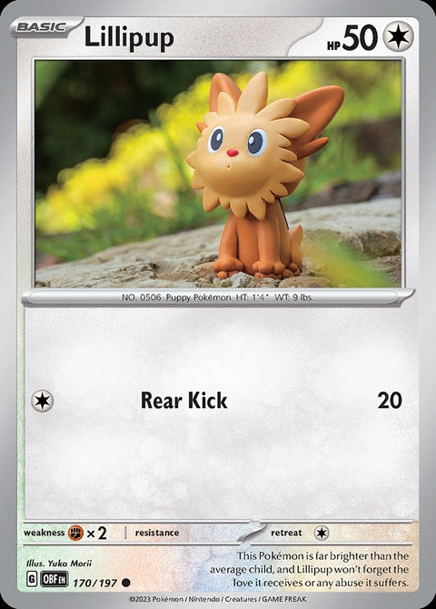 170-lillipup