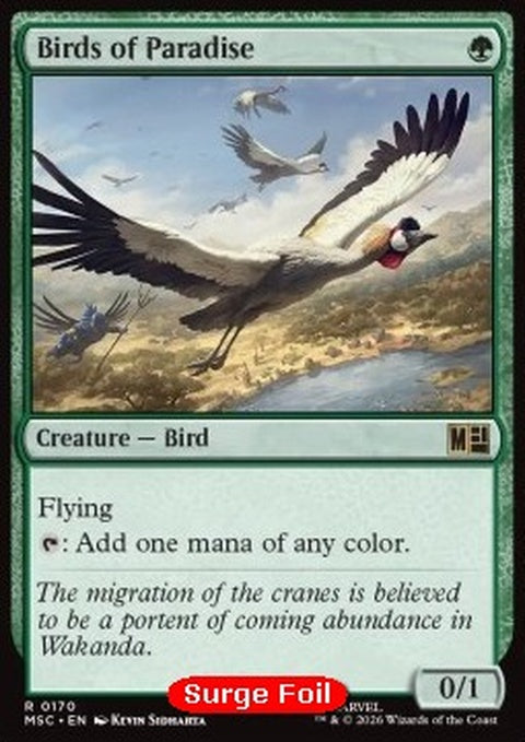 170s-birdsofparadise