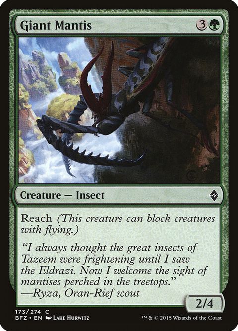 173-giantmantis