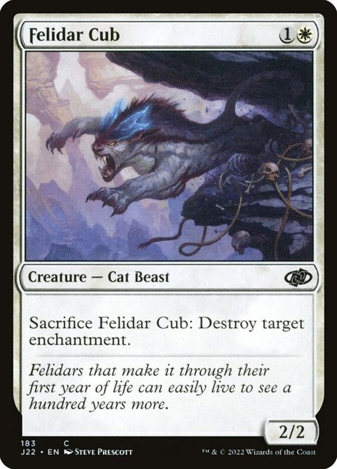 183-felidarcub