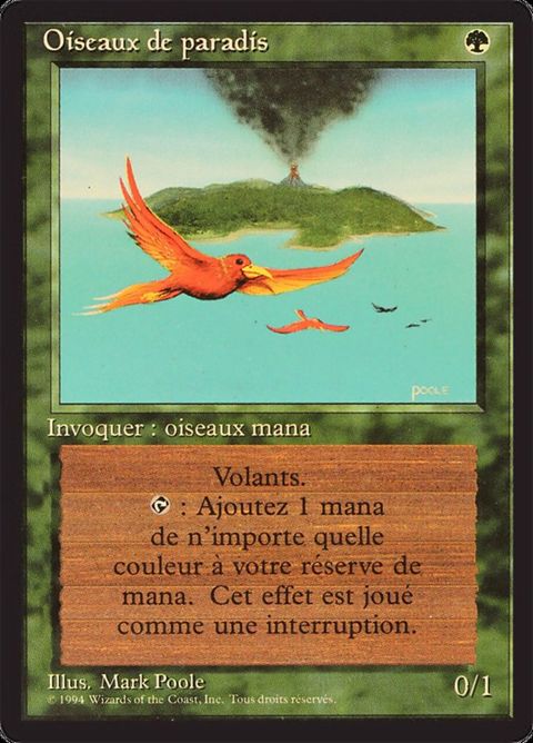 187-birdsofparadise