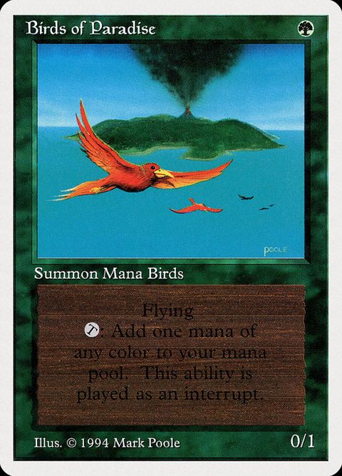 187-birdsofparadise
