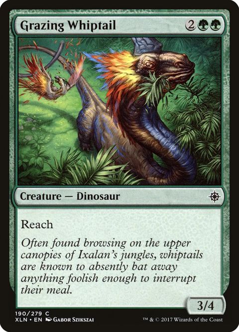 190-grazingwhiptail