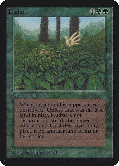 204-kudzu