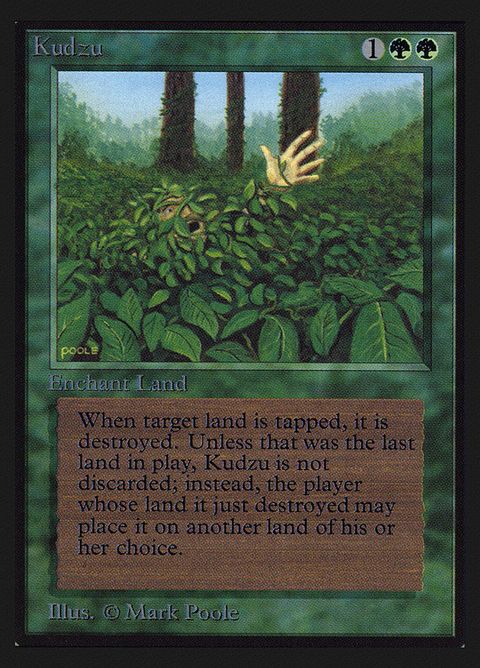 205-kudzu