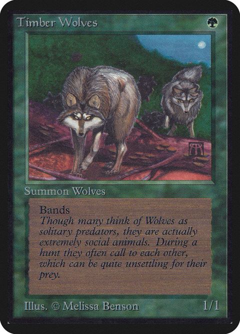 219-timberwolves
