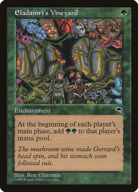 223-eladamrisvineyard