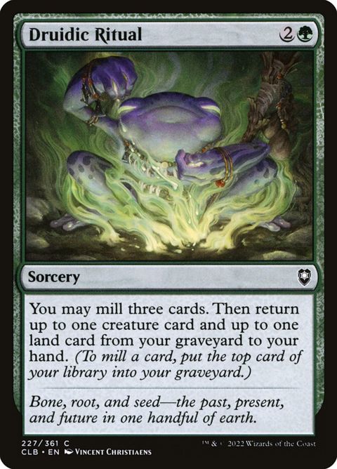 227-druidicritual