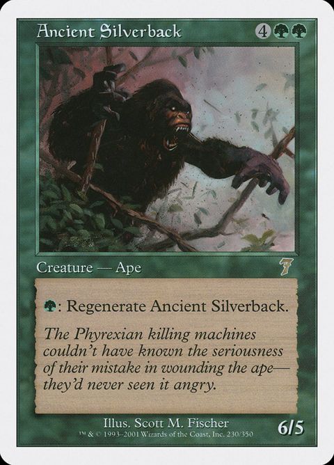 230-ancientsilverback