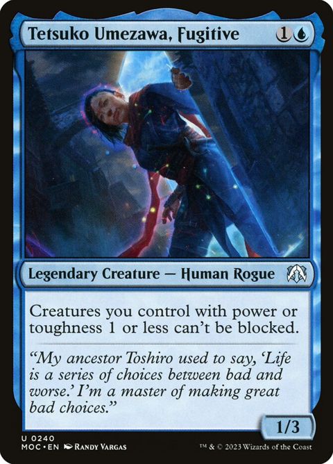 240-tetsukoumezawafugitive