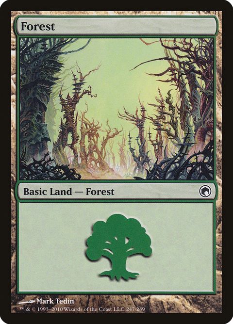 247-forest