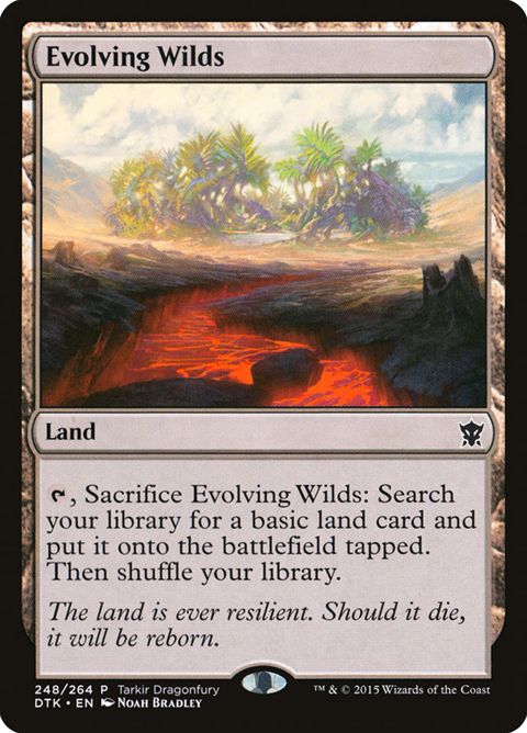 248-evolvingwilds