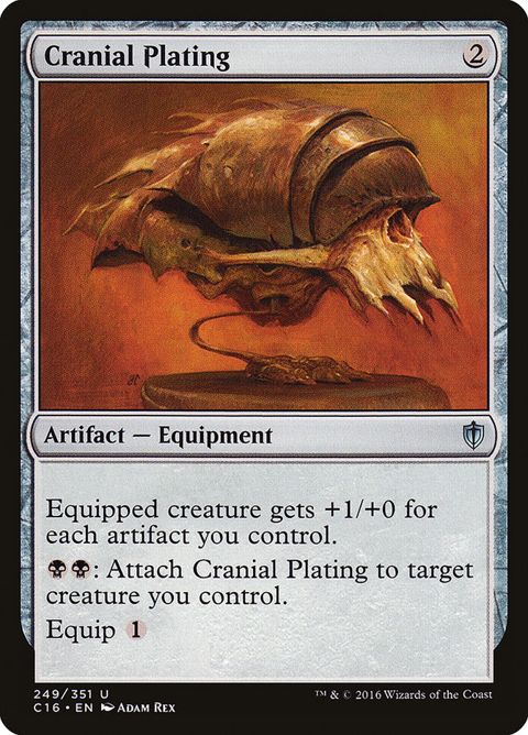 249-cranialplating