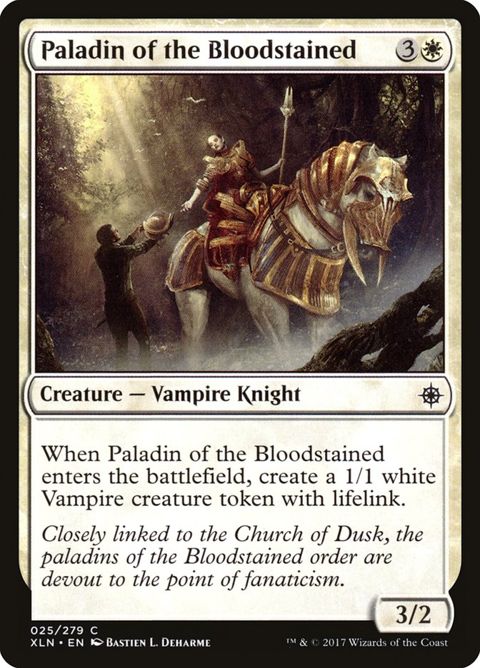 25-paladinofthebloodstained