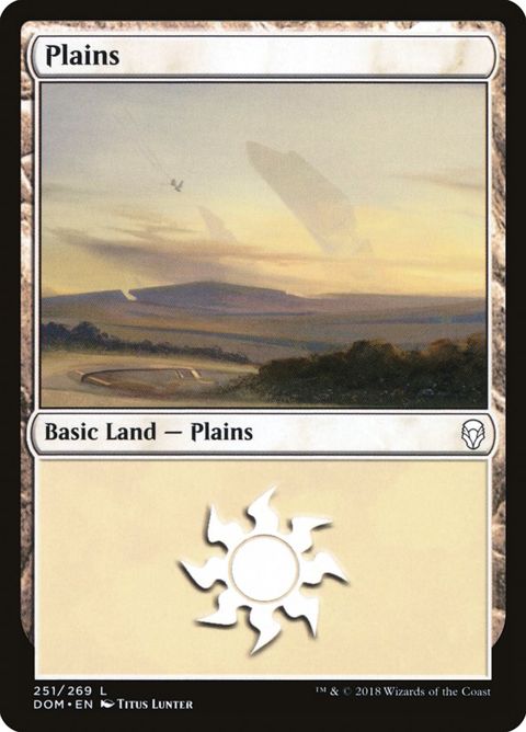 251-plains
