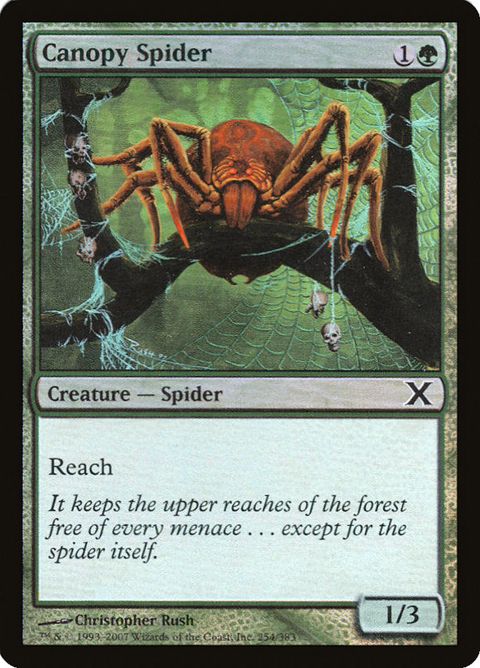 254★-canopyspider