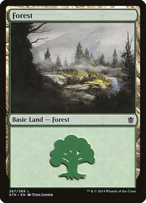 267-forest