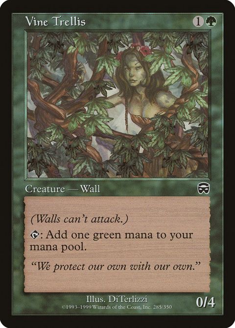 285-vinetrellis