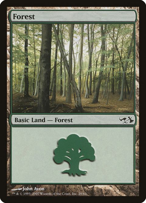 29-forest