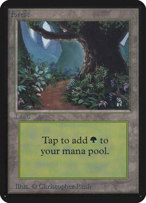 295-forest