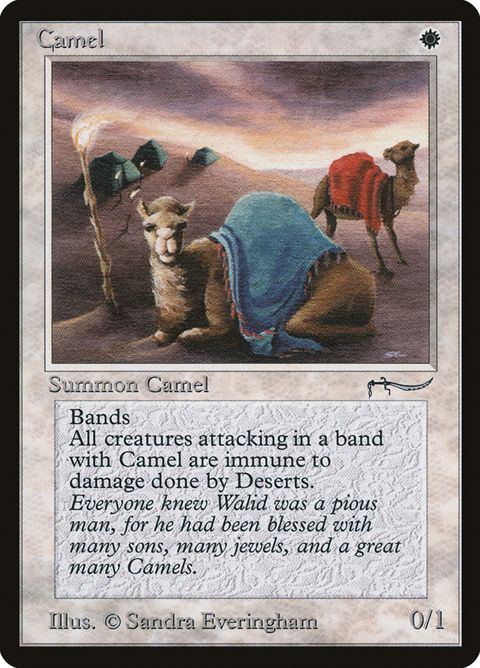3-camel