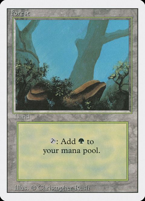 304-forest