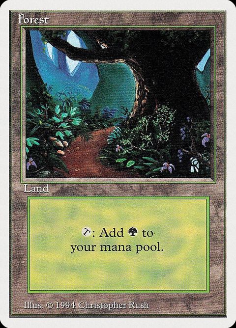 305-forest