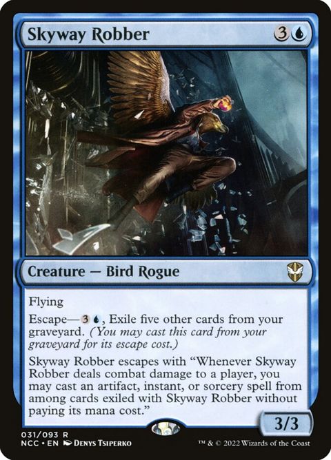 31-skywayrobber