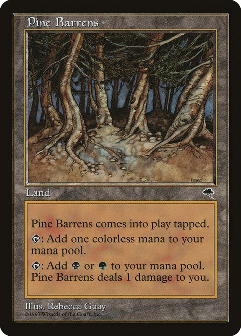 321-pinebarrens