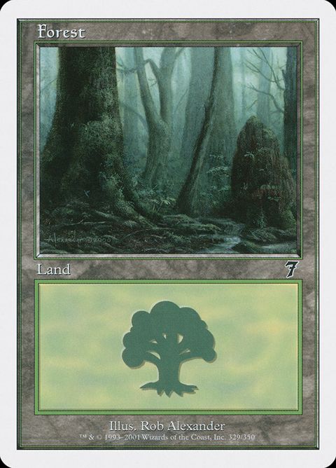 329-forest