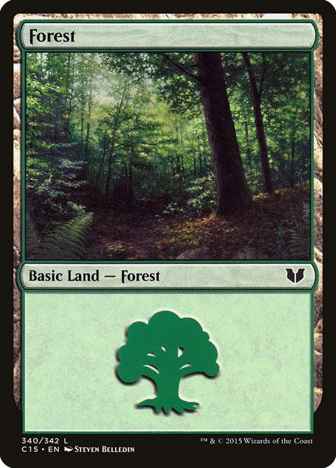 340-forest