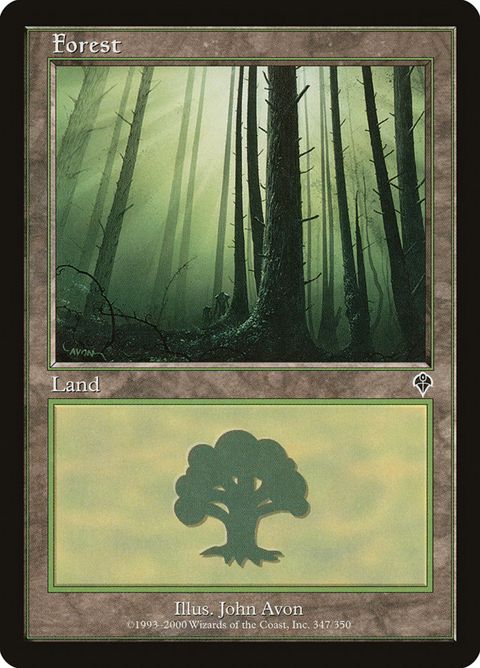 347-forest