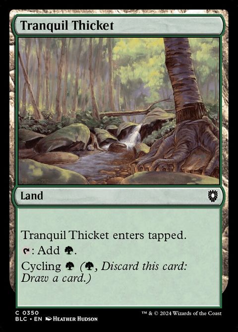 350-tranquilthicket