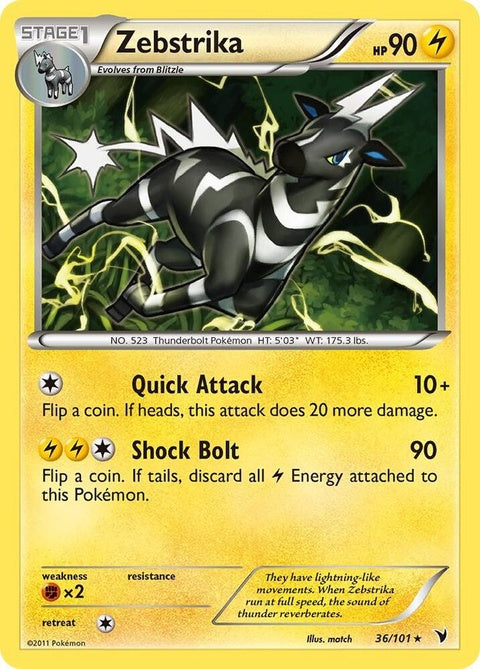 36-zebstrika