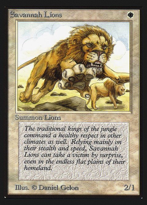 39-savannahlions