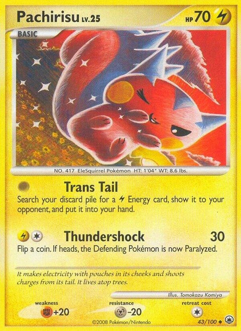 43-pachirisu