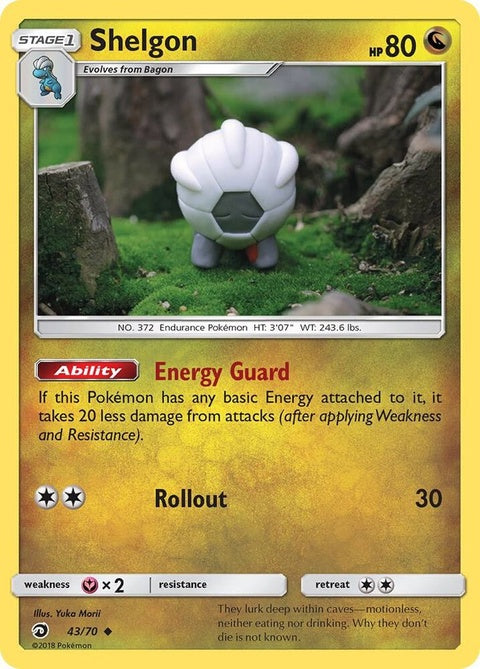 43-shelgon