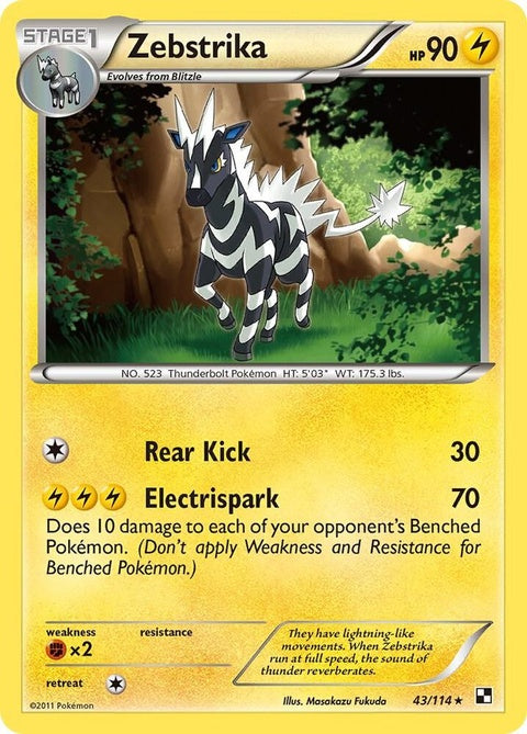 43-zebstrika